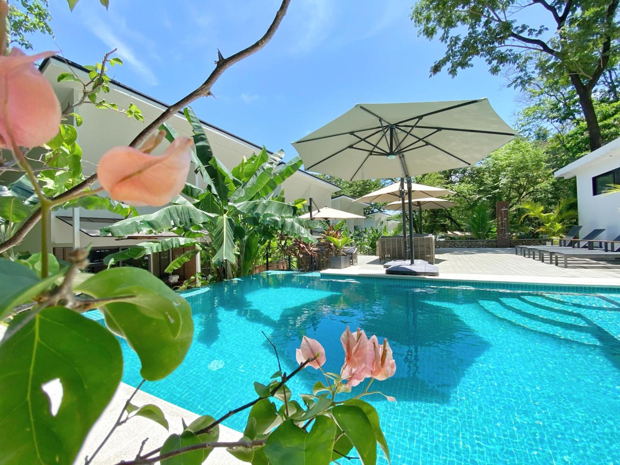 Natura Loft Garden Playa Santa Teresa  Esterno foto